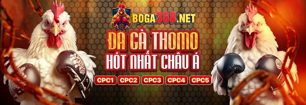 Giao diện hướng dẫn đăng ký và nạp tiền vào tài khoản cá cược
